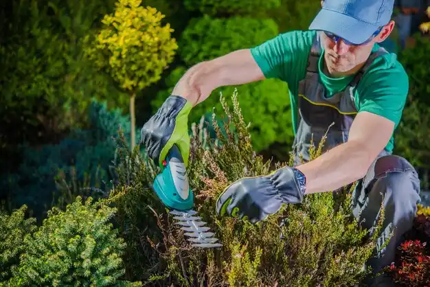 landscaping services Higginsville